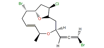 Obtusallene II